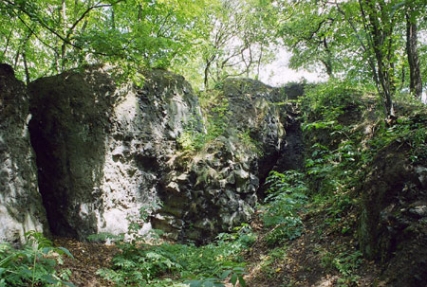 fotka3.jpg